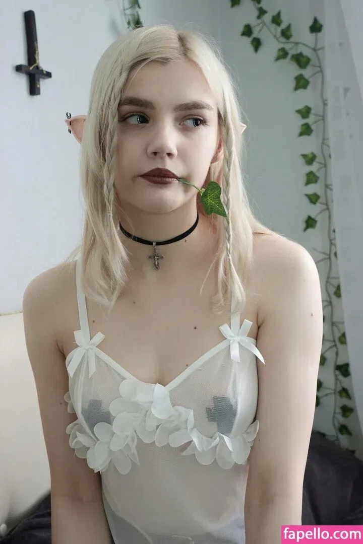 Allotrop / allotrope.io Onlyfans Photo Gallery 