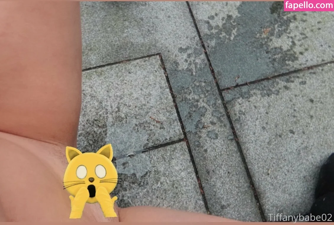 tiffany.babe01 / tiffanybabe02 Onlyfans Photo Gallery 