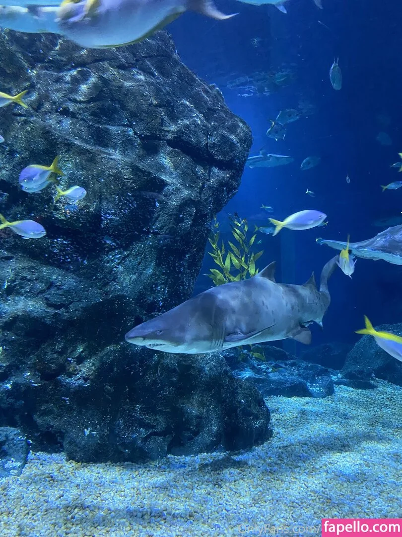 onyour_bunny / onyourbunny Onlyfans Photo Gallery 