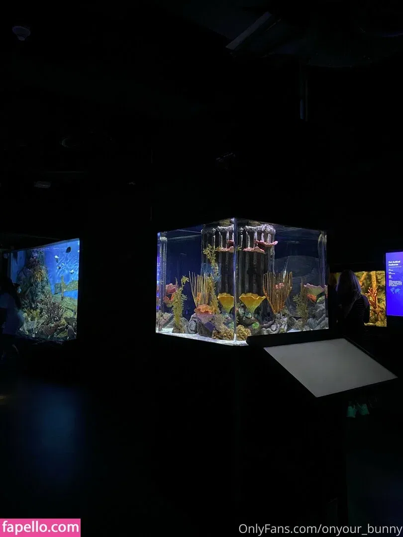 onyour_bunny / onyourbunny Onlyfans Photo Gallery 