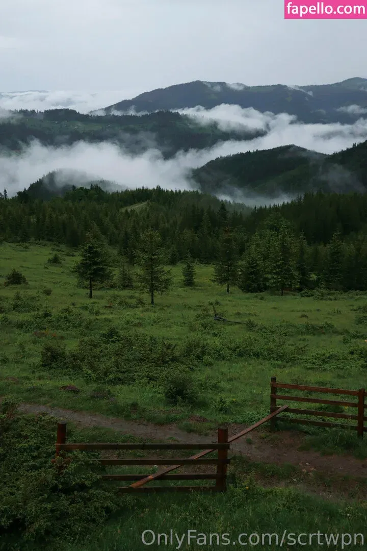 scrt.wpns / scrtwpn Onlyfans Photo Gallery 