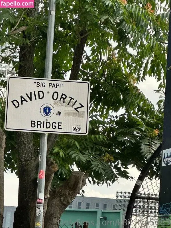 boobsrealm_com / k8it_lyn5683 / thetopmodelstv Onlyfans Photo Gallery 