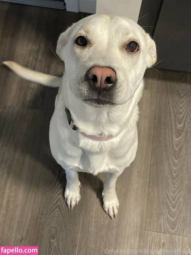 Lizzysweetsofficial / luvlyzzy Onlyfans Photo Gallery 