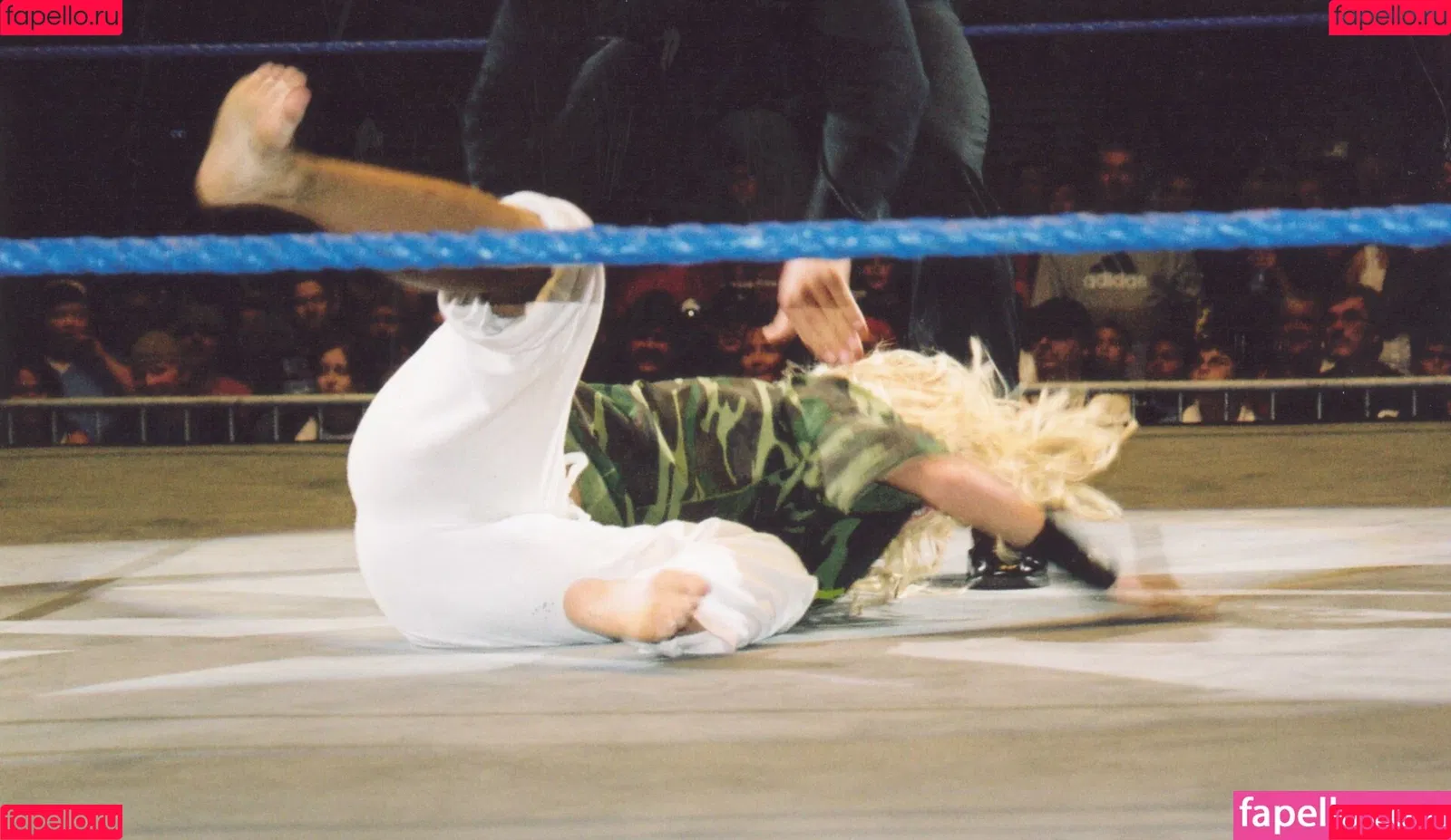 Torrie Wilson / torriewilson Onlyfans Photo Gallery 