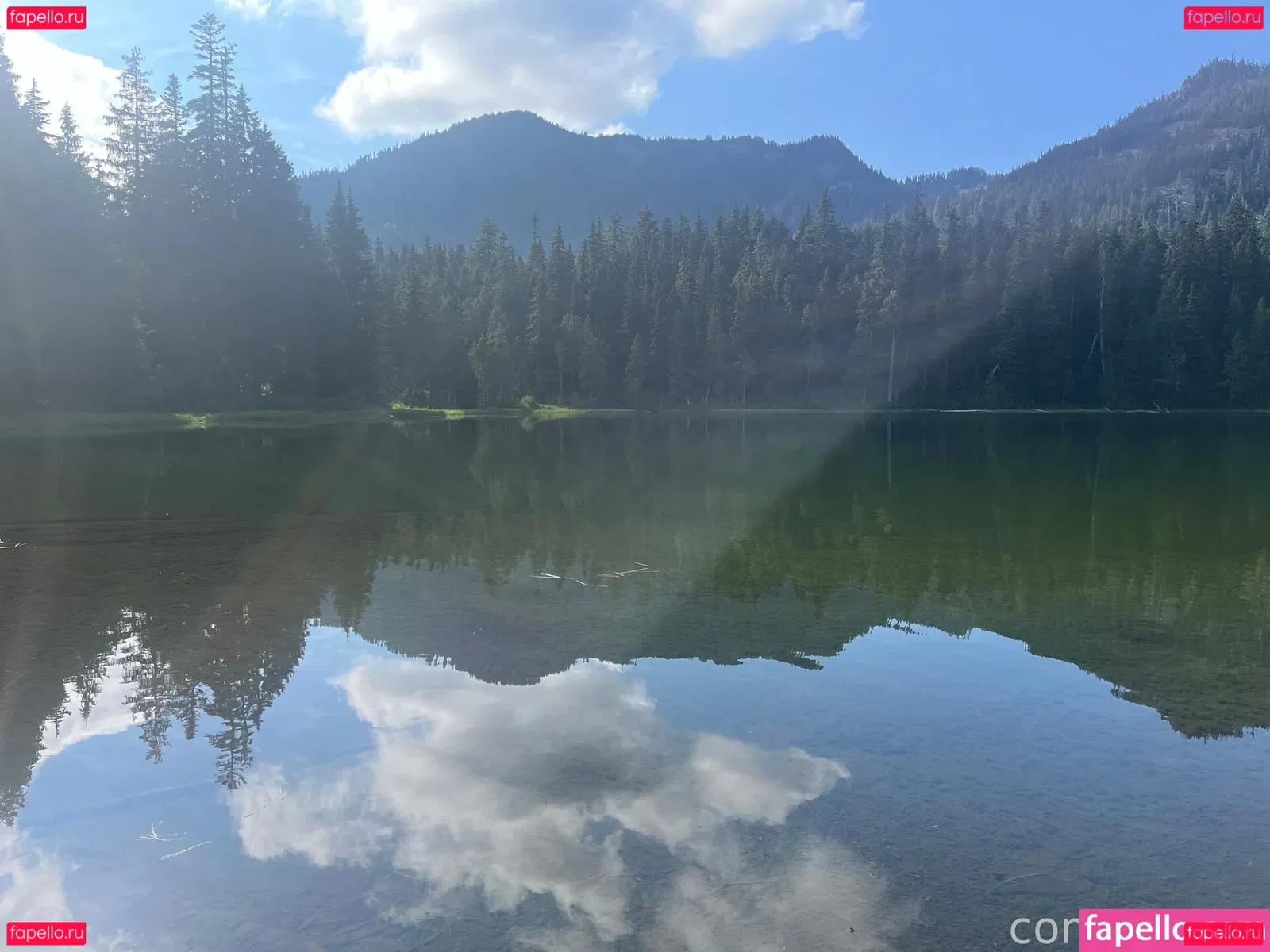 Comfy_fans Onlyfans Photo Gallery 