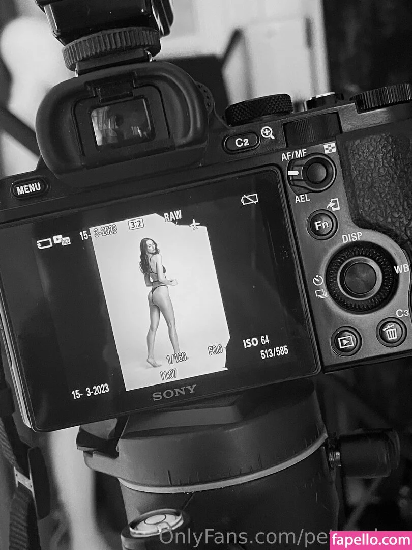 petra_dma / petrademova Onlyfans Photo Gallery 