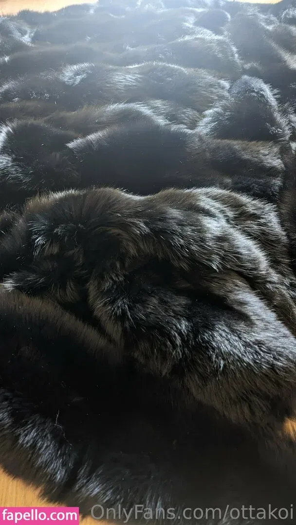 otta_koi_official / ottakoi Onlyfans Photo Gallery 