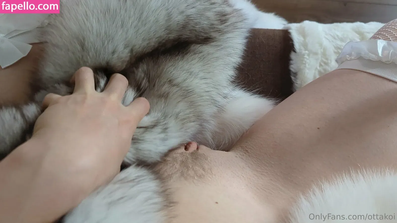 otta_koi_official / ottakoi Onlyfans Photo Gallery 