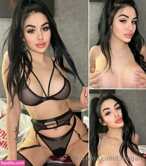 t.megan / theestallion Onlyfans Photo Gallery 