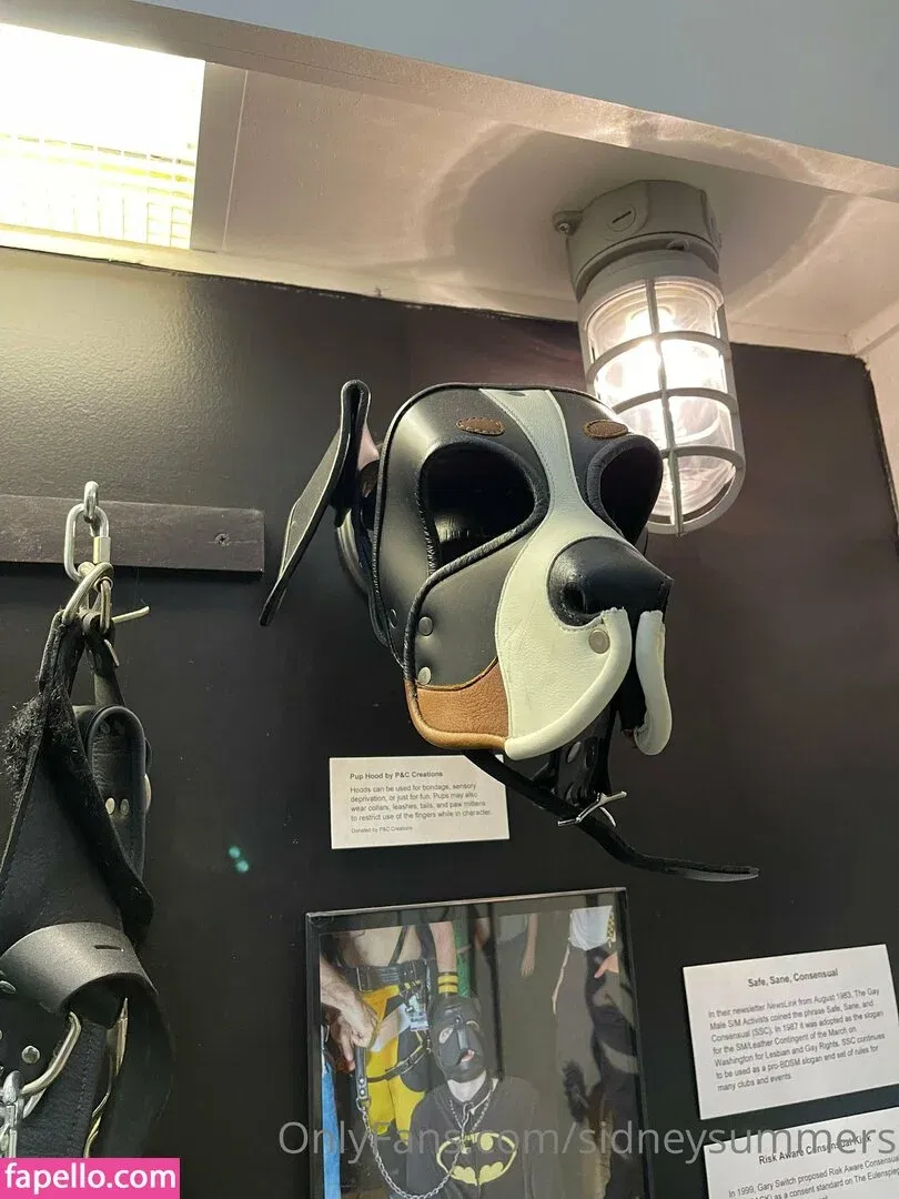 sidneysummers / sidneysummers.x Onlyfans Photo Gallery 