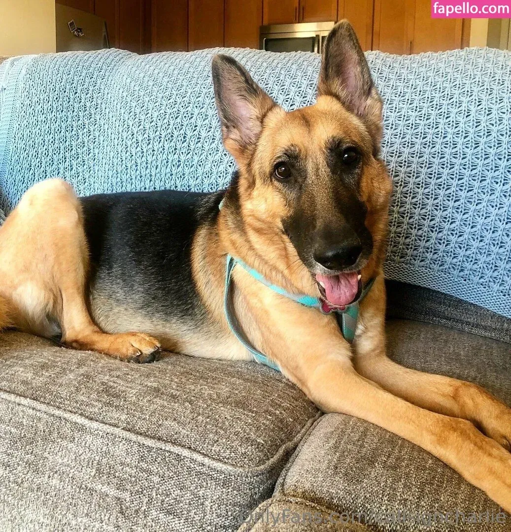 bita nice un this.... / callsigncharlie Onlyfans Photo Gallery 