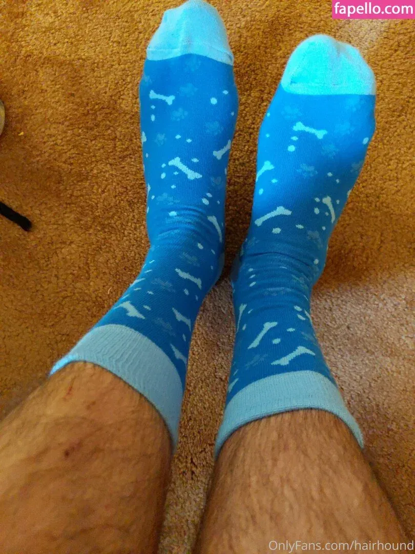 hairhound / thehairhound Onlyfans Photo Gallery 