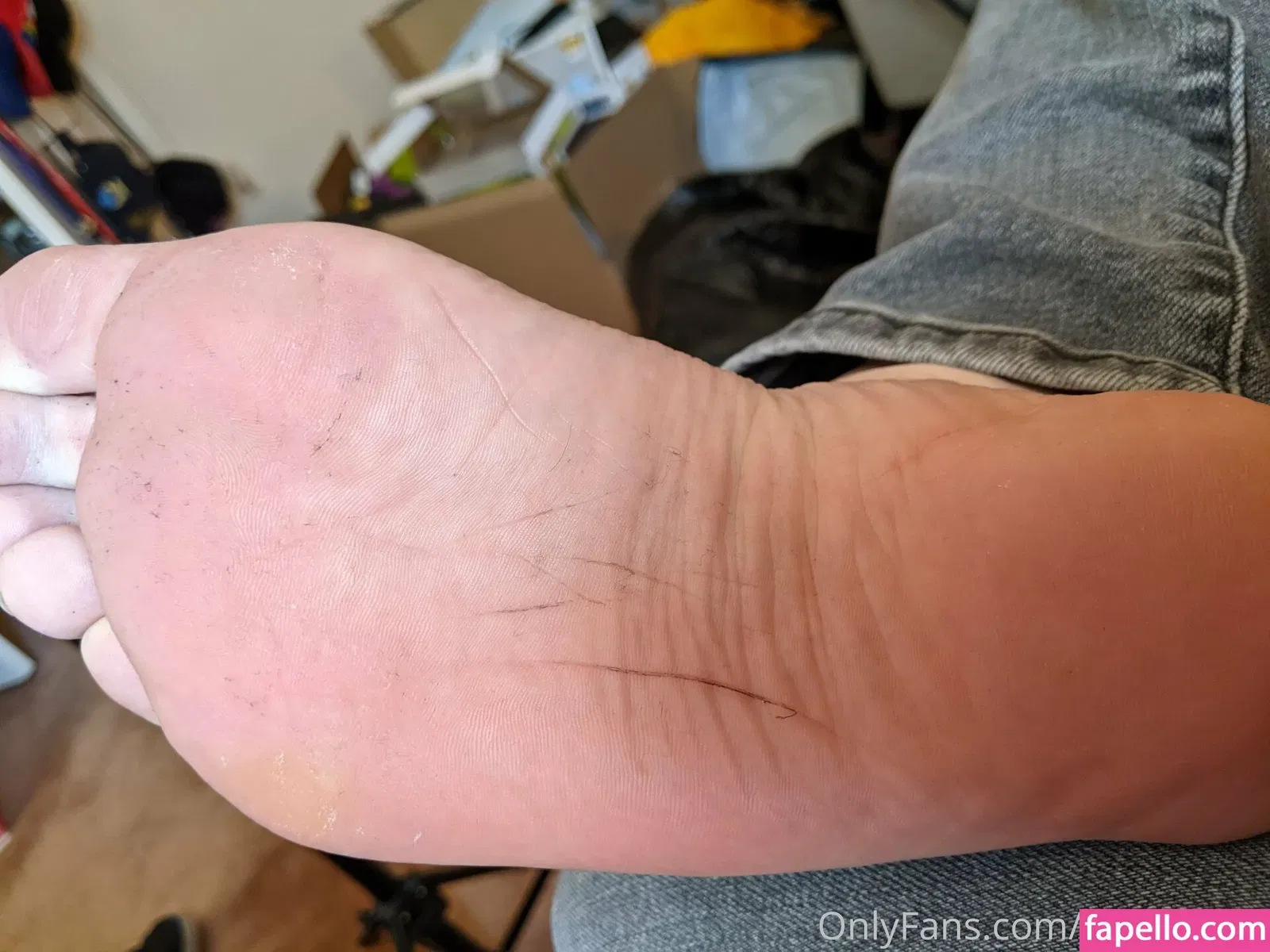 hairhound / thehairhound Onlyfans Photo Gallery 