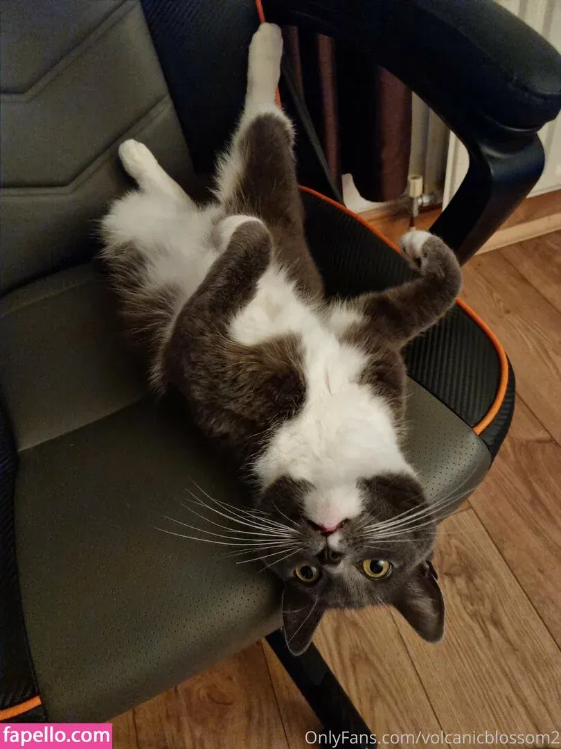 PufffyPink / Puffypink / pufffypink_ Onlyfans Photo Gallery 