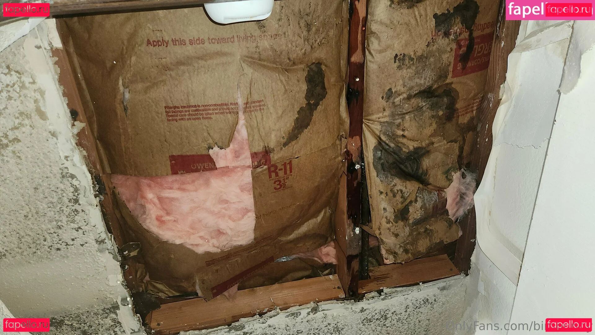 bimbunny Onlyfans Photo Gallery 