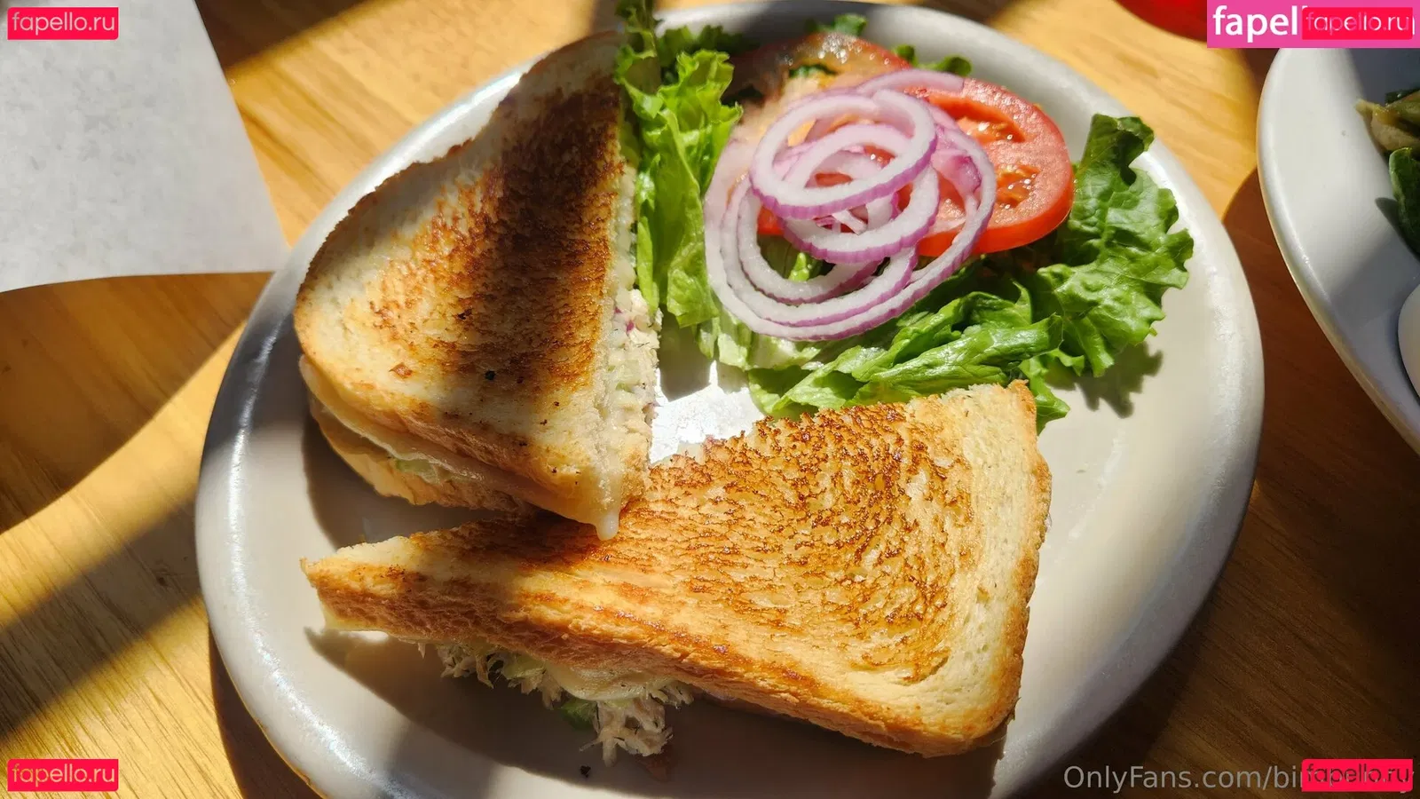 bimbunny Onlyfans Photo Gallery 