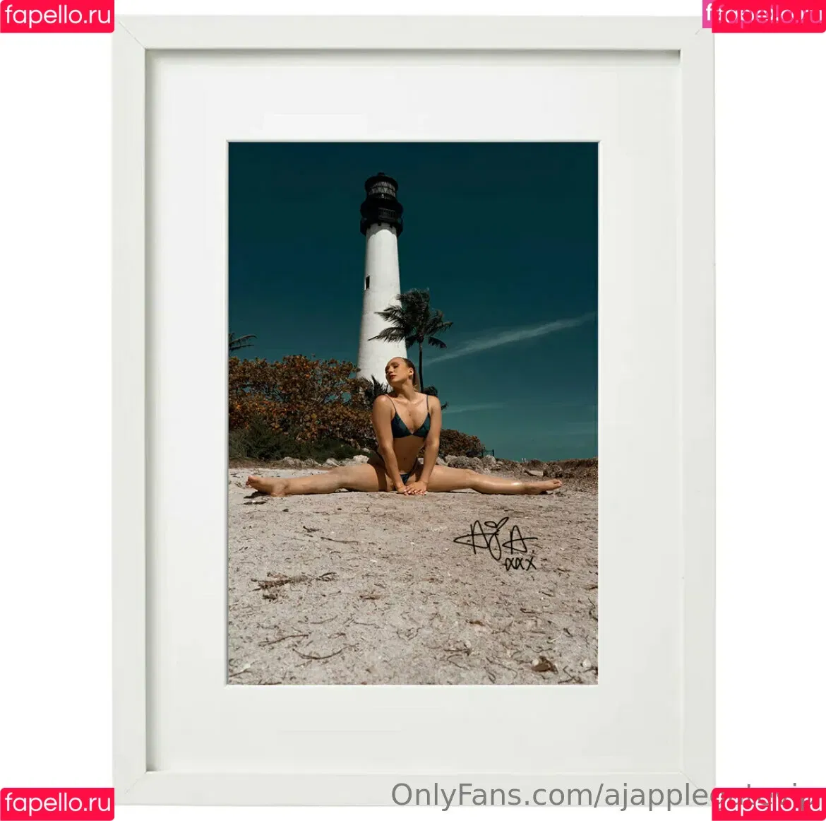 AJ Applegate / AJsApplebooty / ajapplegatelive / realajapplegate Onlyfans Photo Gallery 