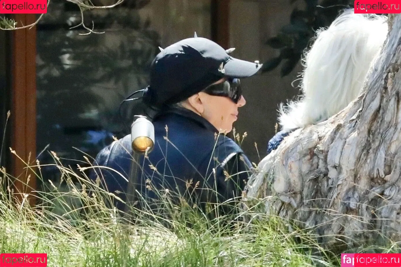 Lady Gaga / ladygaga Onlyfans Photo Gallery 