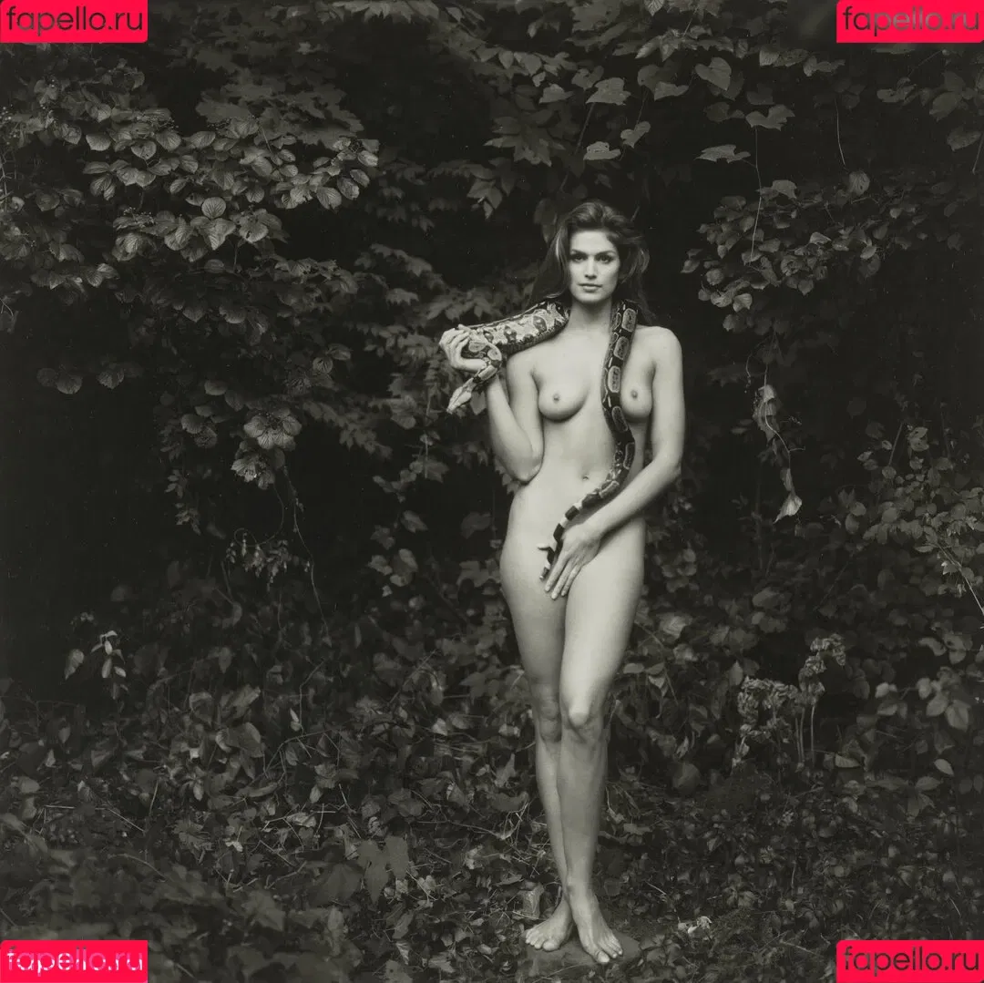Cindy Crawford / cindycrawford Onlyfans Photo Gallery 