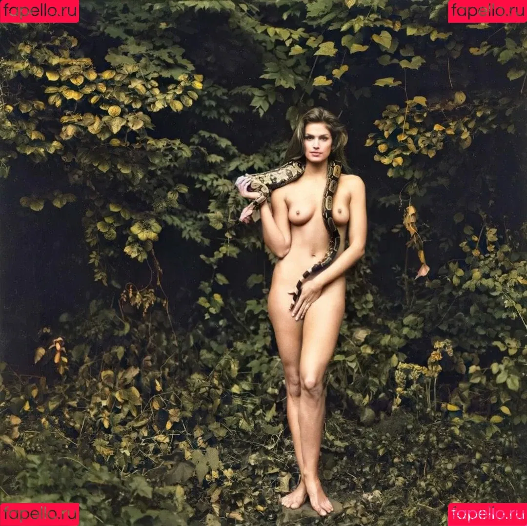 Cindy Crawford / cindycrawford Onlyfans Photo Gallery 