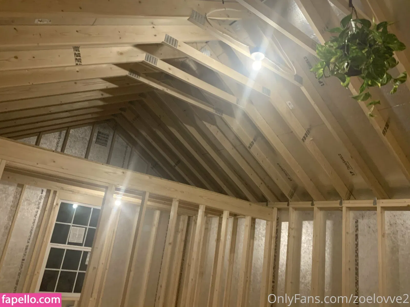 zoelove._ / zoelovve-free Onlyfans Photo Gallery 