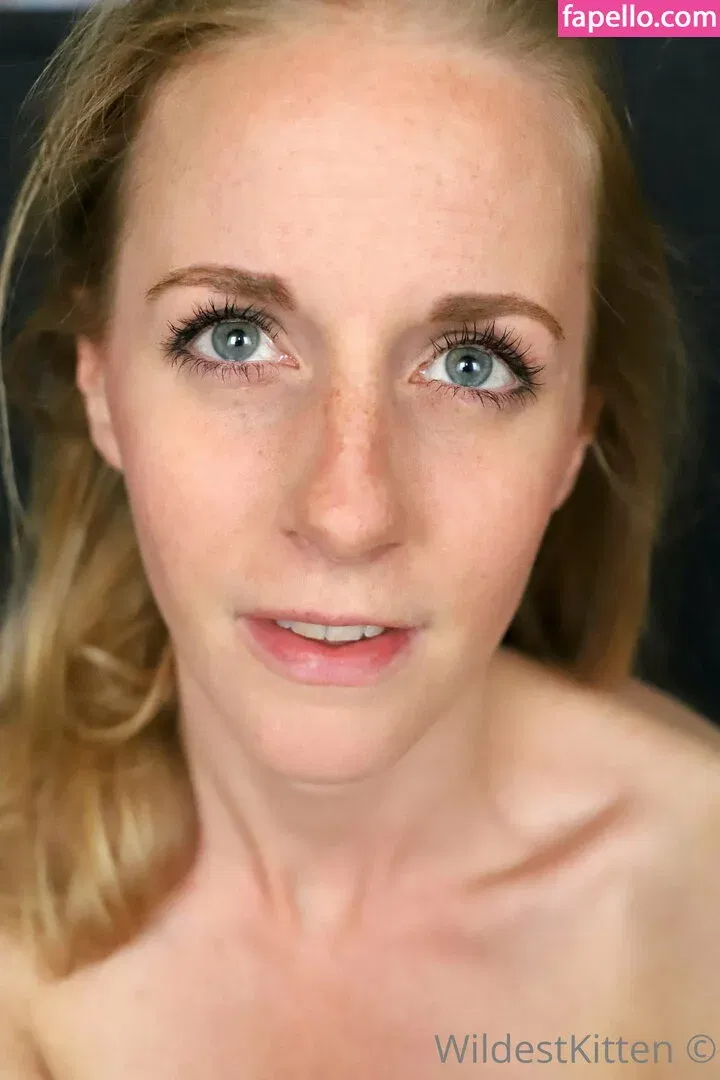 WildestKitten Onlyfans Photo Gallery 