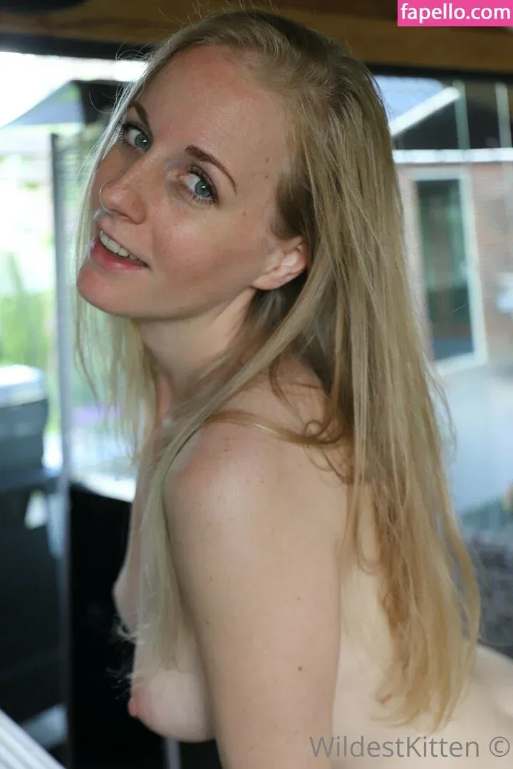 WildestKitten Onlyfans Photo Gallery 