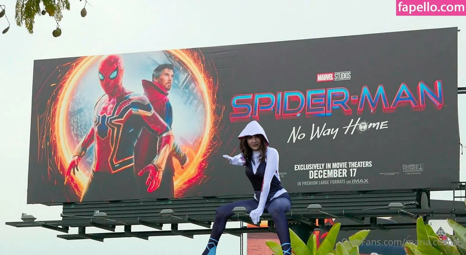 fegalvao_ / maria.cosplay Onlyfans Photo Gallery 