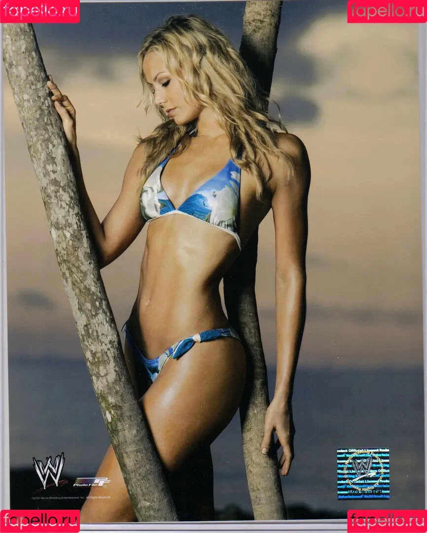 Stacy Keibler / StacyKeibler Onlyfans Photo Gallery 