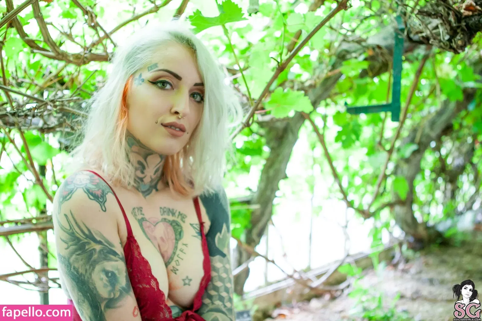 Gladyce / gladycefavour / gladycesuicide Onlyfans Photo Gallery 