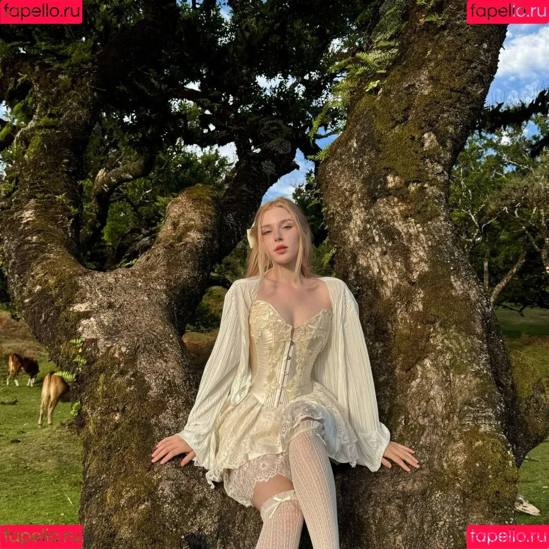 Nikki Beiar / nikkibearvip / nikkibeiar Onlyfans Photo Gallery 