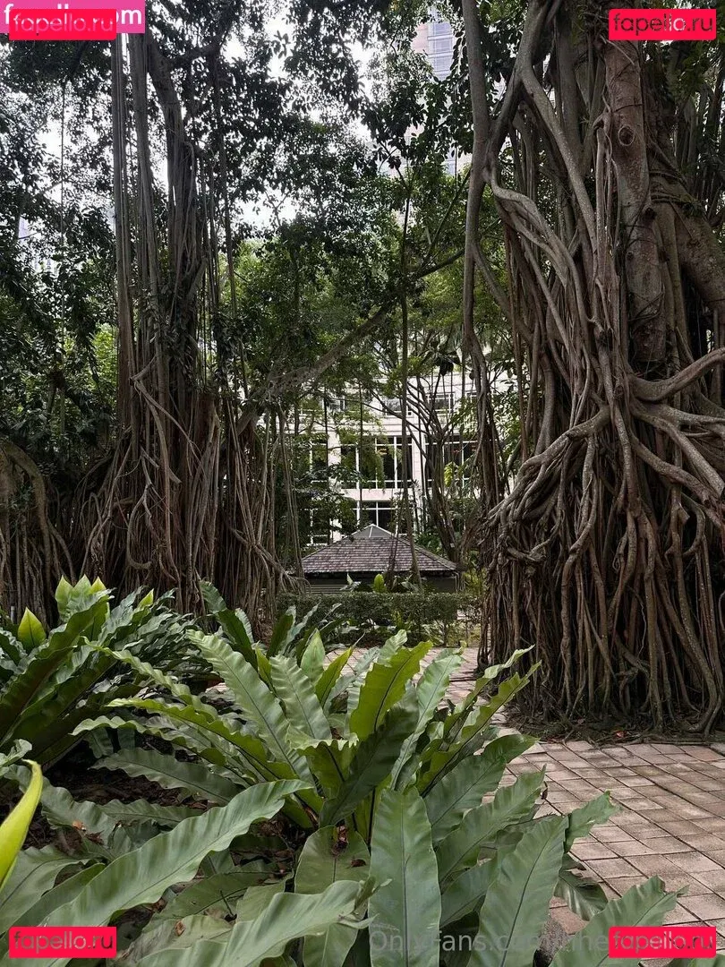 AliceBong / HheadShhot Onlyfans Photo Gallery 