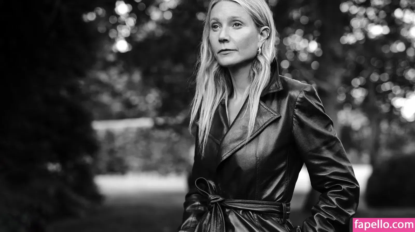 Gwyneth Paltrow / GwynethPaltrow Onlyfans Photo Gallery 