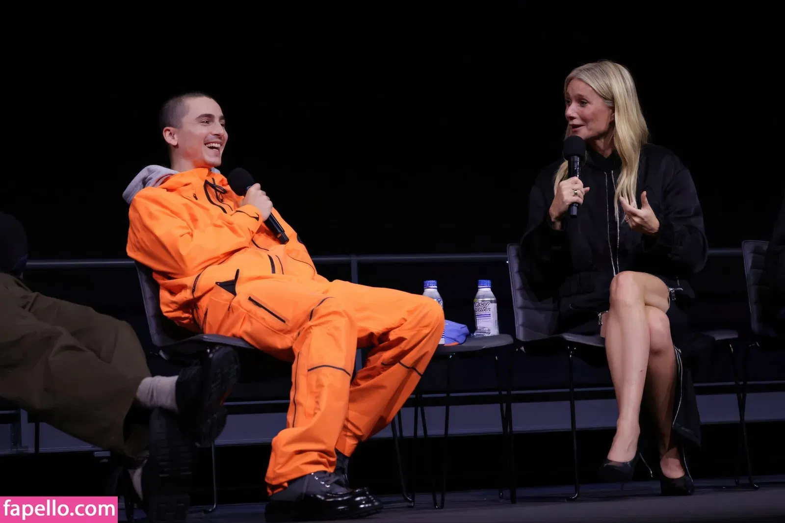 Gwyneth Paltrow / GwynethPaltrow Onlyfans Photo Gallery 