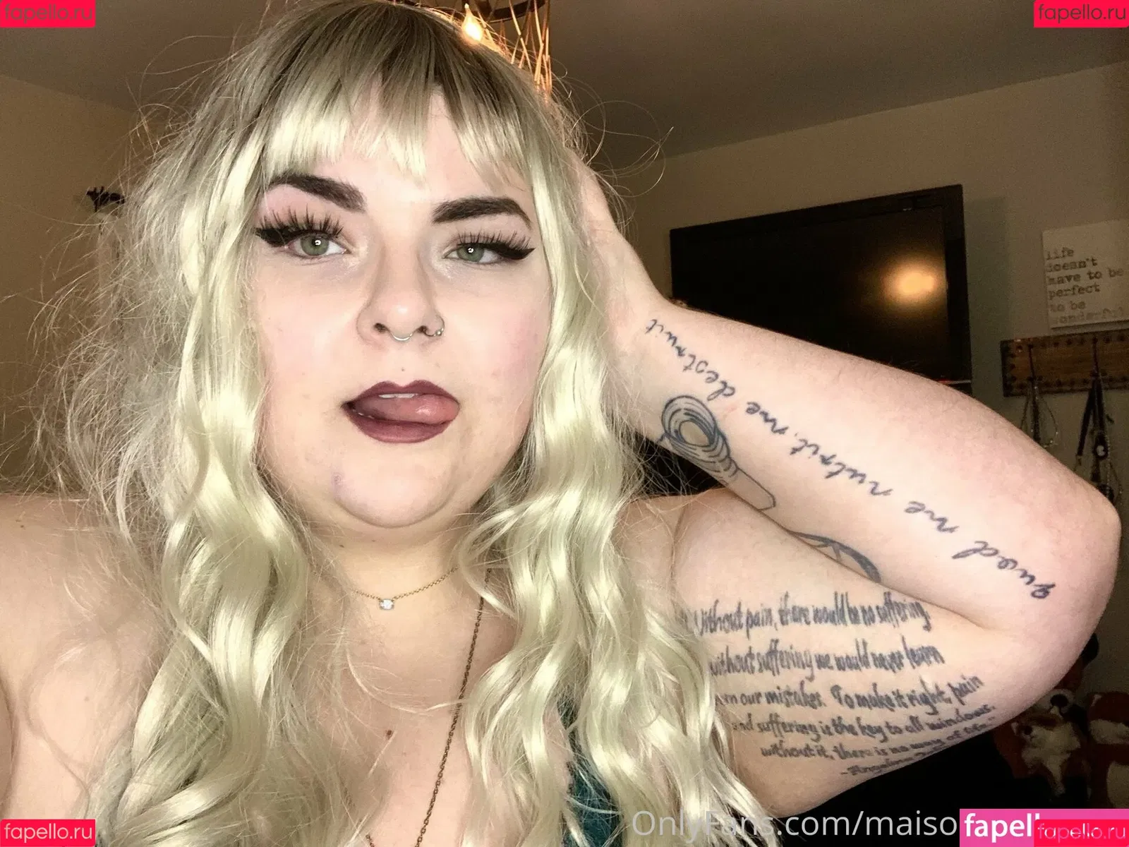 maisonfoxqueen / msmew Onlyfans Photo Gallery 