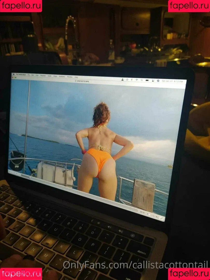 callistacottontail Onlyfans Photo Gallery 