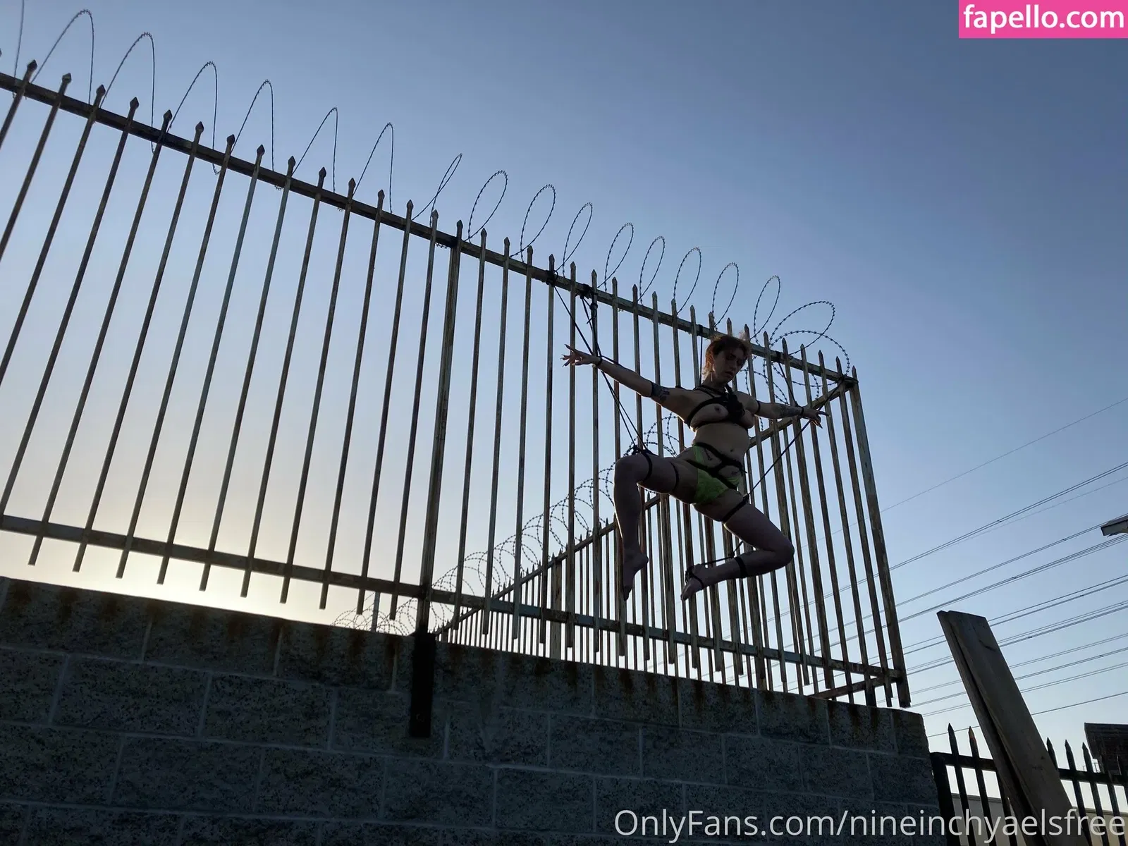 nineinchyaelsfree / teninchyaels Onlyfans Photo Gallery 