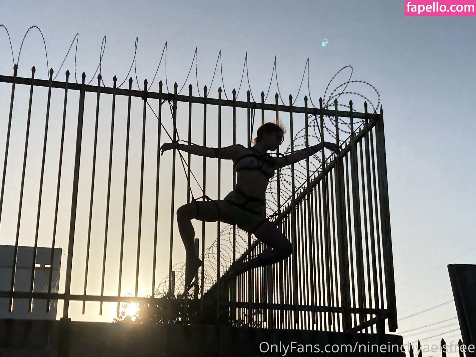 nineinchyaelsfree / teninchyaels Onlyfans Photo Gallery 