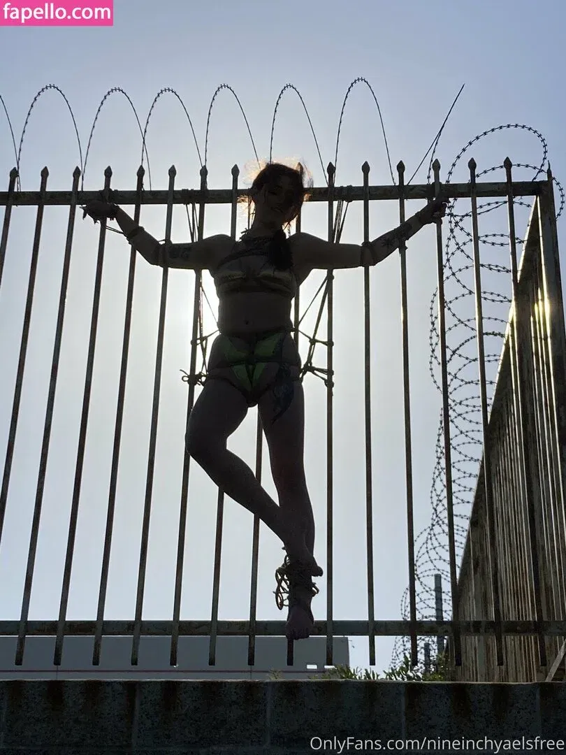 nineinchyaelsfree / teninchyaels Onlyfans Photo Gallery 