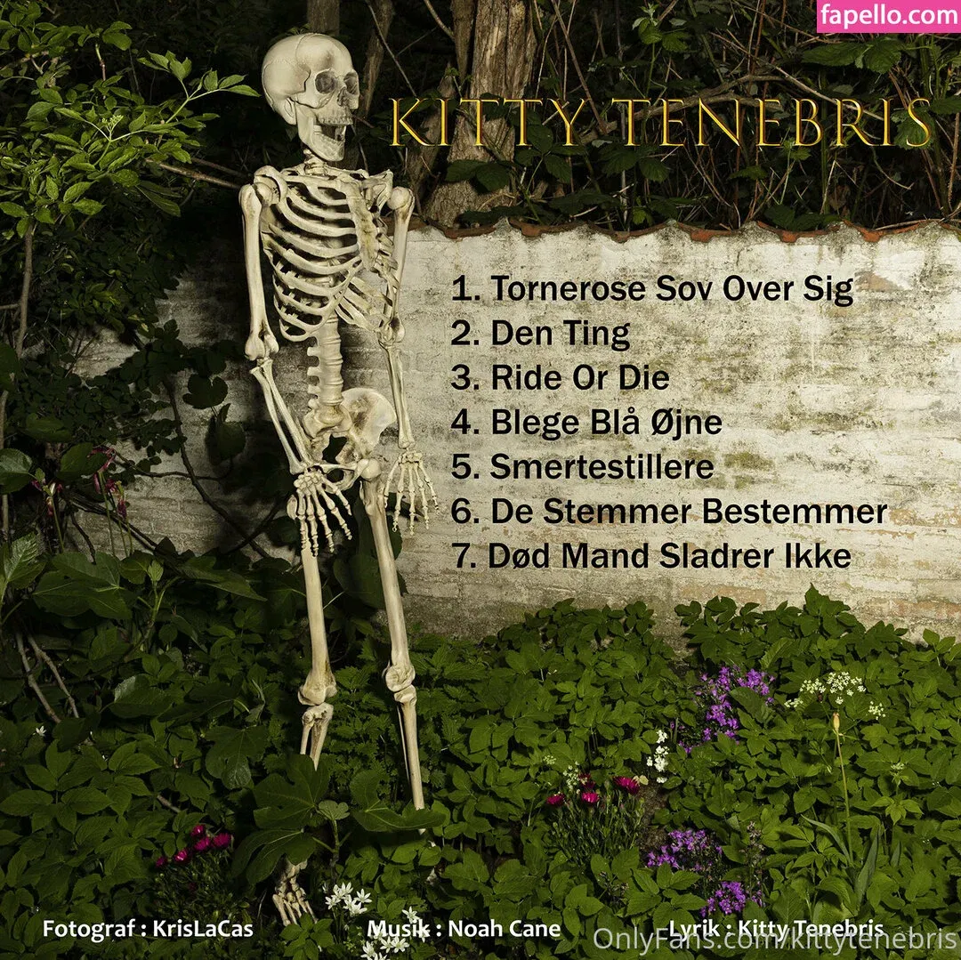 kittytenebris / kittytenebris_entmt Onlyfans Photo Gallery 