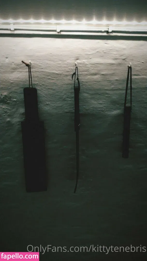 kittytenebris / kittytenebris_entmt Onlyfans Photo Gallery 
