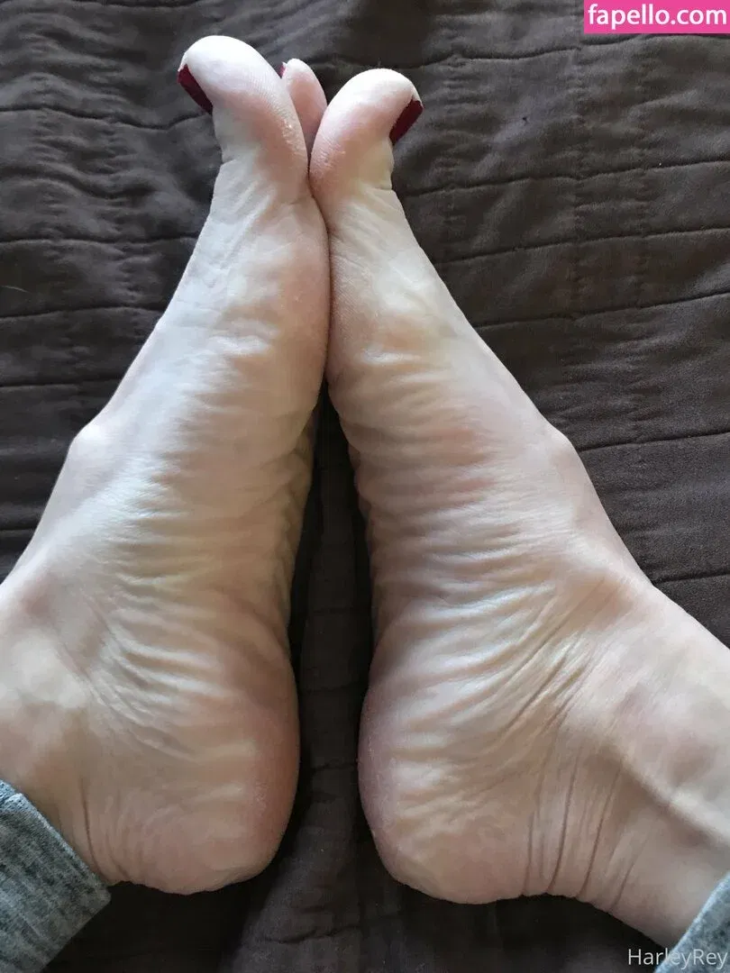 harleyrey / harleyreyx Onlyfans Photo Gallery 