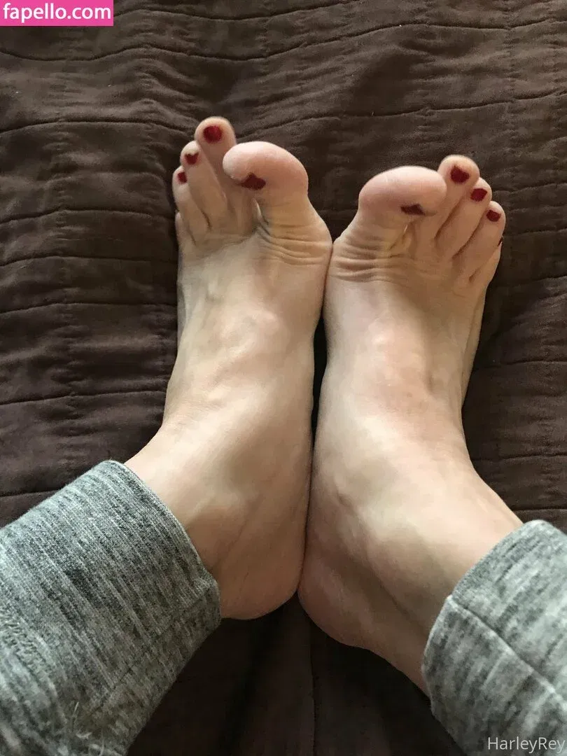 harleyrey / harleyreyx Onlyfans Photo Gallery 