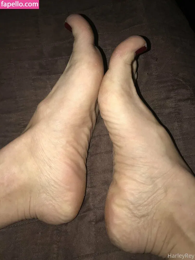 harleyrey / harleyreyx Onlyfans Photo Gallery 