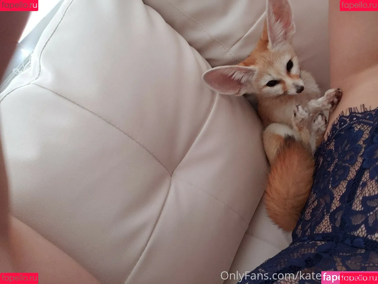 Kate England / kate_england21 / kateengland21 Onlyfans Photo Gallery 
