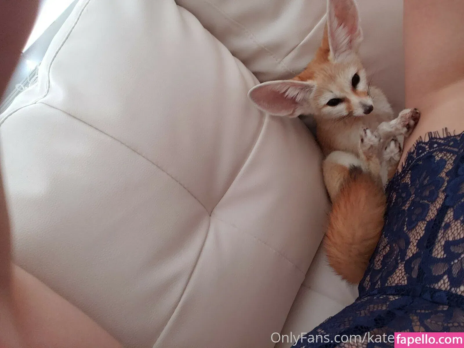 Kate England / kate_england21 / kateengland21 Onlyfans Photo Gallery 