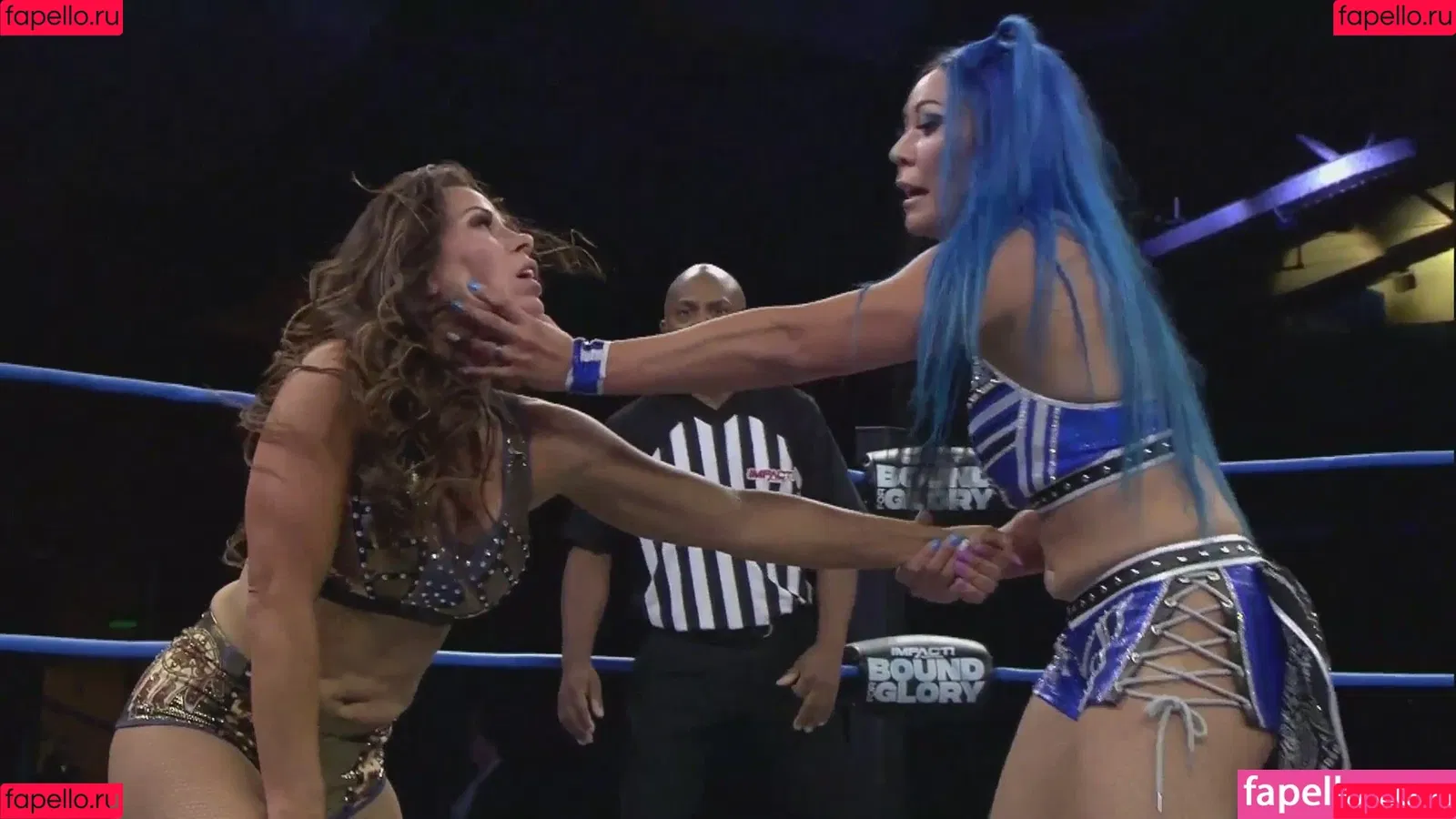 Mickie James / michelejames / themickiejames Onlyfans Photo Gallery 