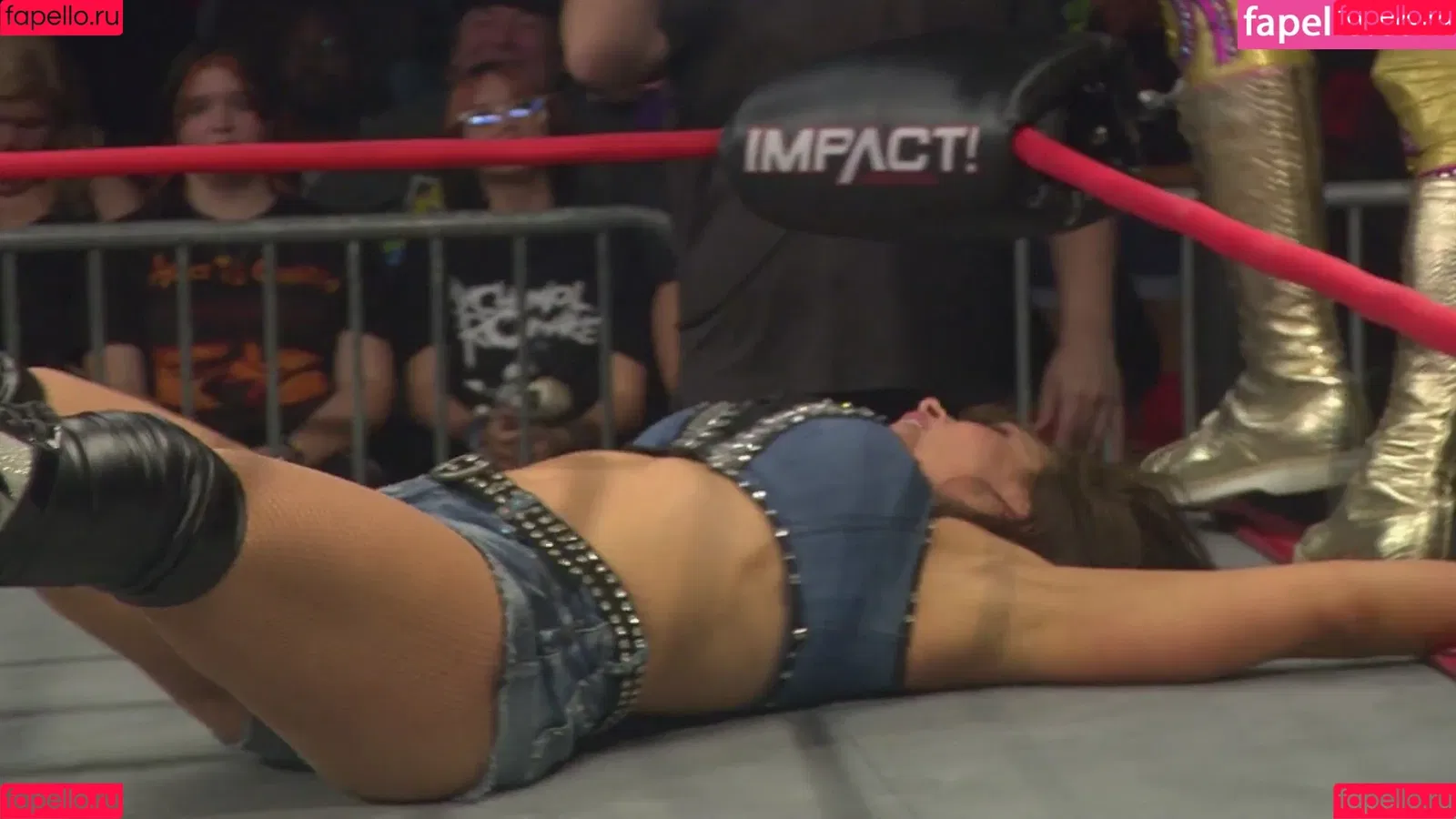 Mickie James / michelejames / themickiejames Onlyfans Photo Gallery 