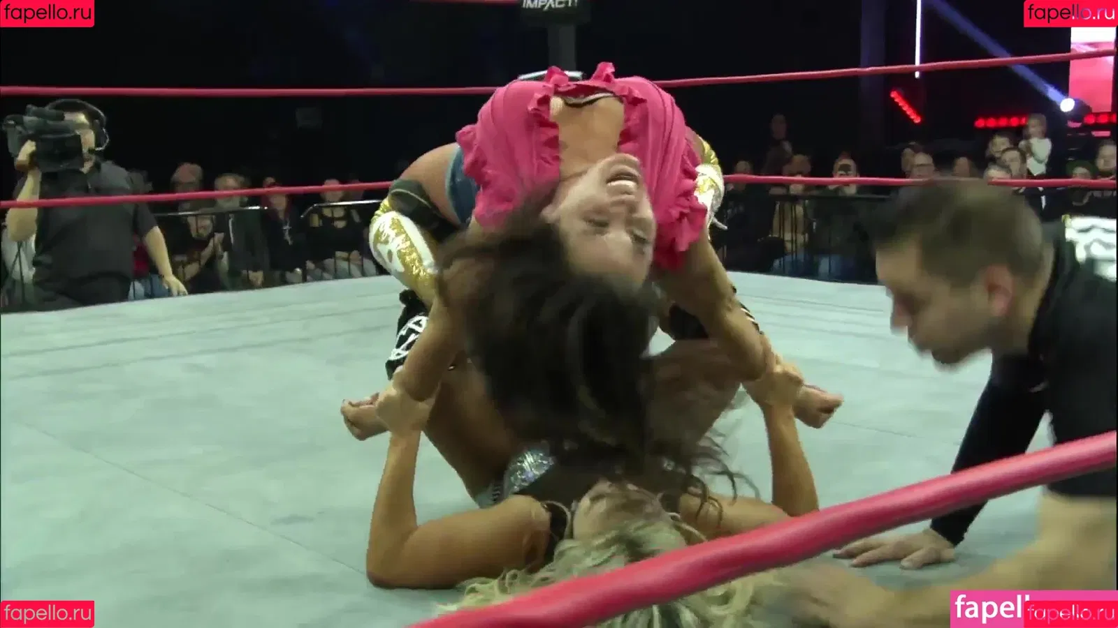 Mickie James / michelejames / themickiejames Onlyfans Photo Gallery 