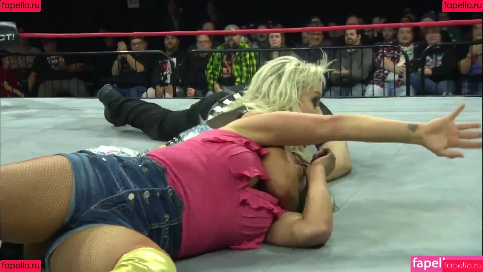 Mickie James / michelejames / themickiejames Onlyfans Photo Gallery 